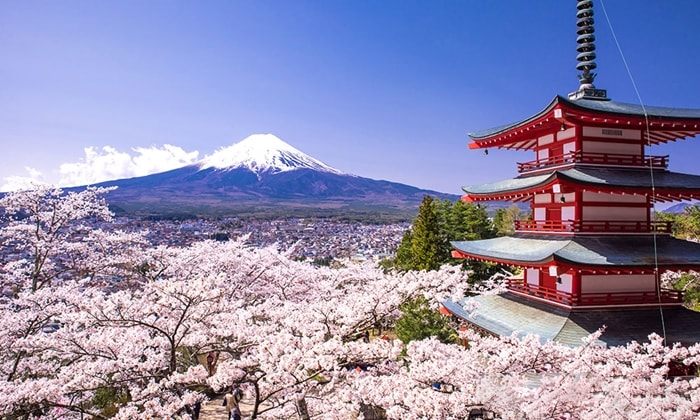 Japan Illustration